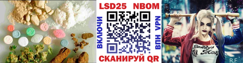 кракен   Суворов  Лсд 25 экстази ecstasy 